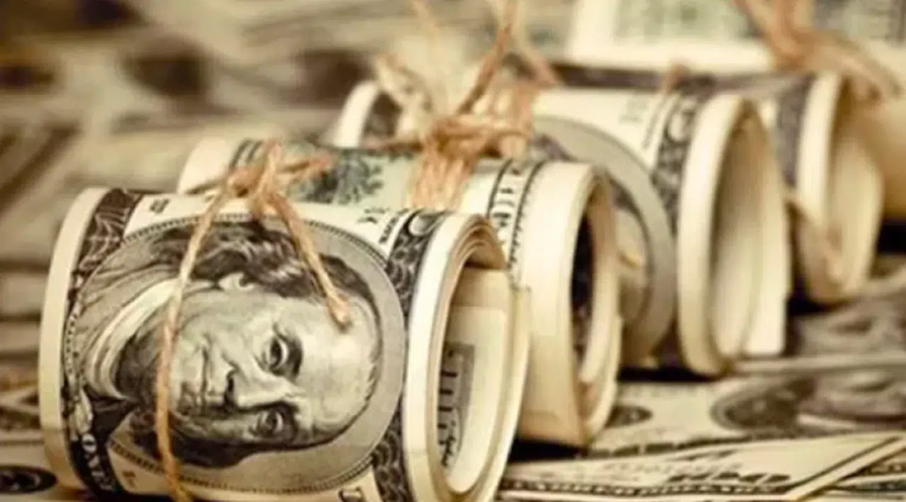 Doğalgaz talebi: 'O para içeride doları kontrol etmede kullanılacak'
