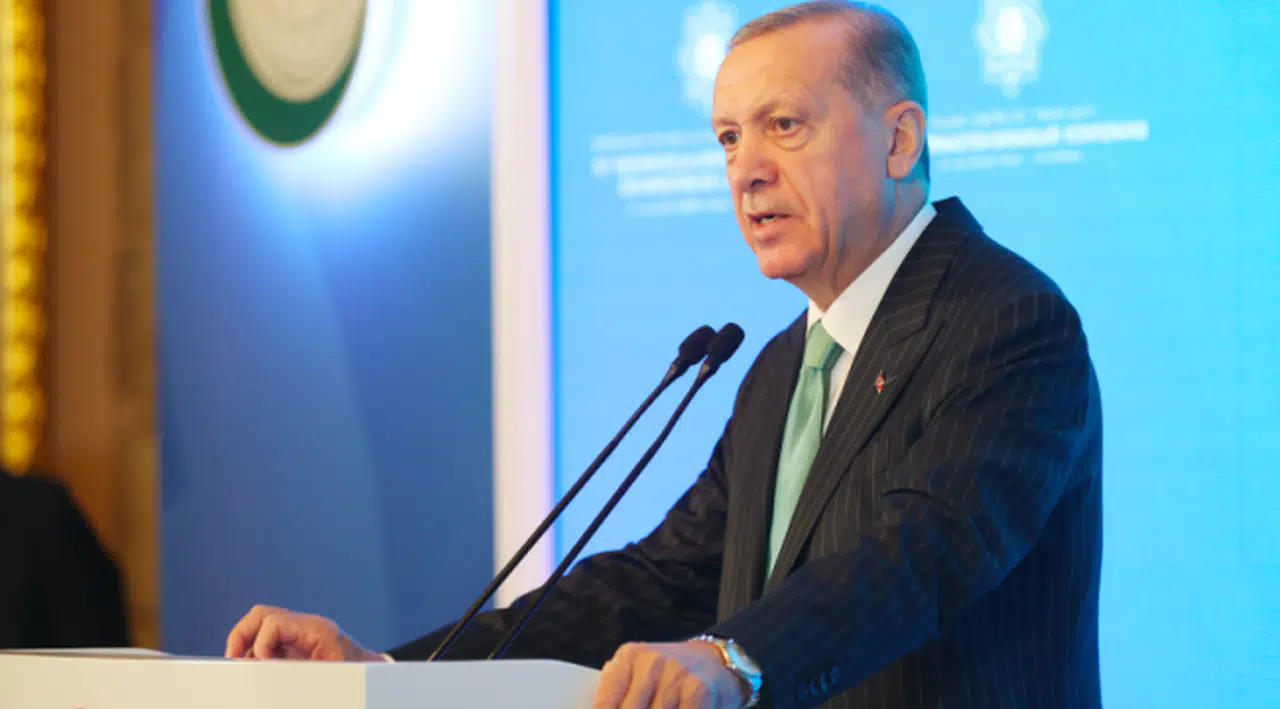 Erdoğan'a iki yeni danışman daha