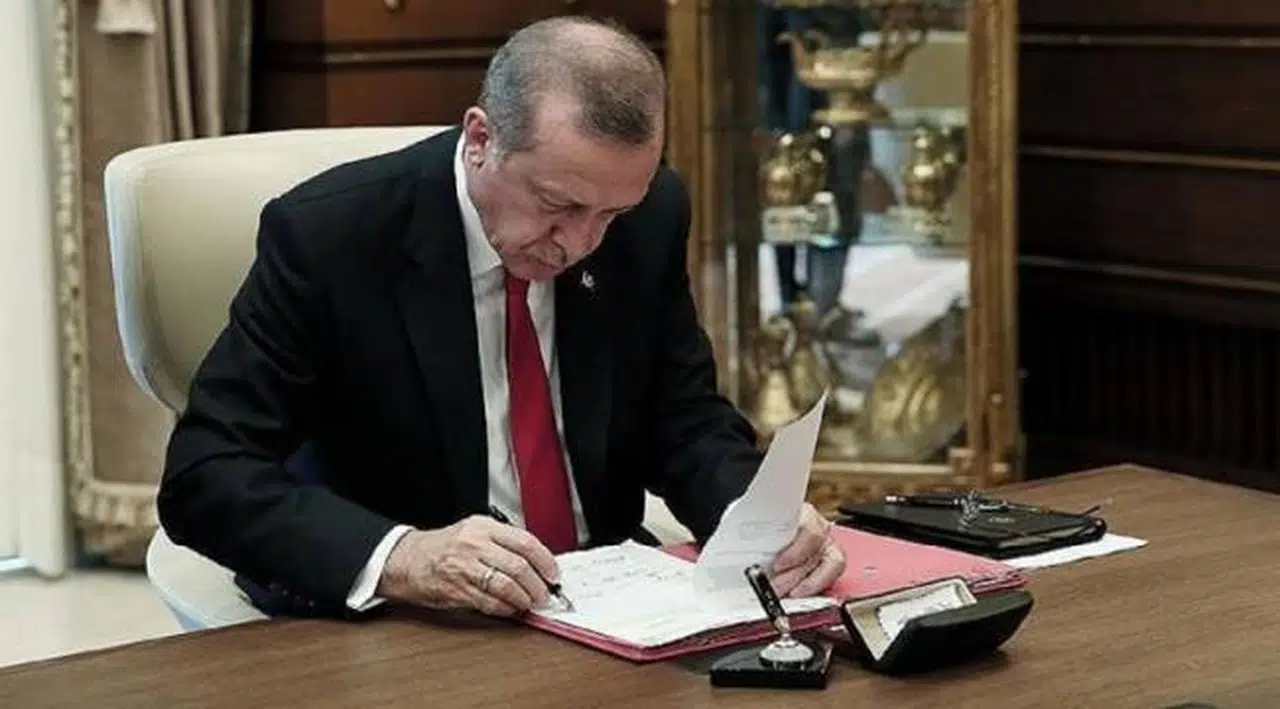 Erdoğan imzaladı: 3,5 milyon metrekare orman sınırı dışına çıkartıldı