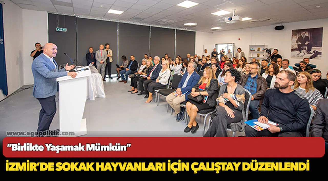 İzmir’de Sokak hayvanları için çalıştay düzenlendi