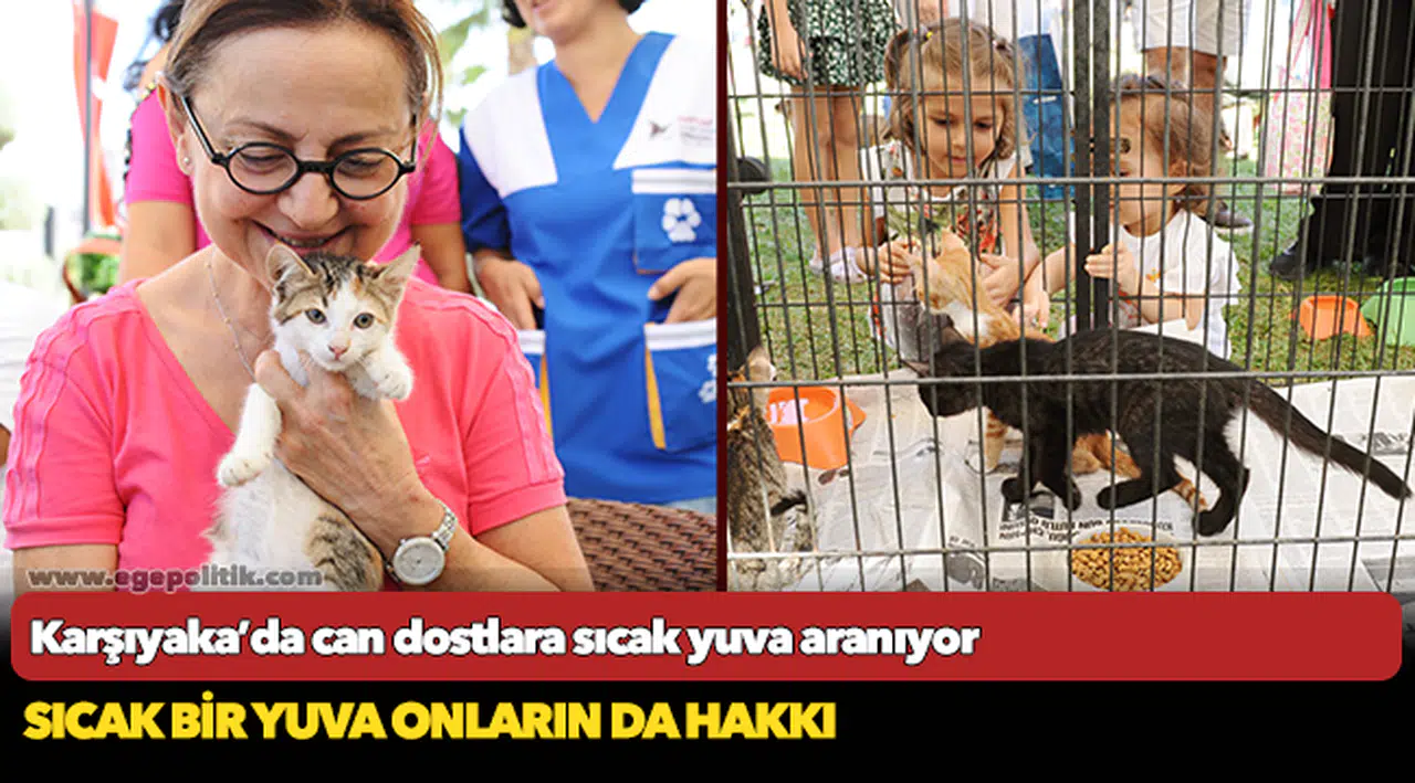 Karşıyaka’da can dostlara sıcak yuva aranıyor