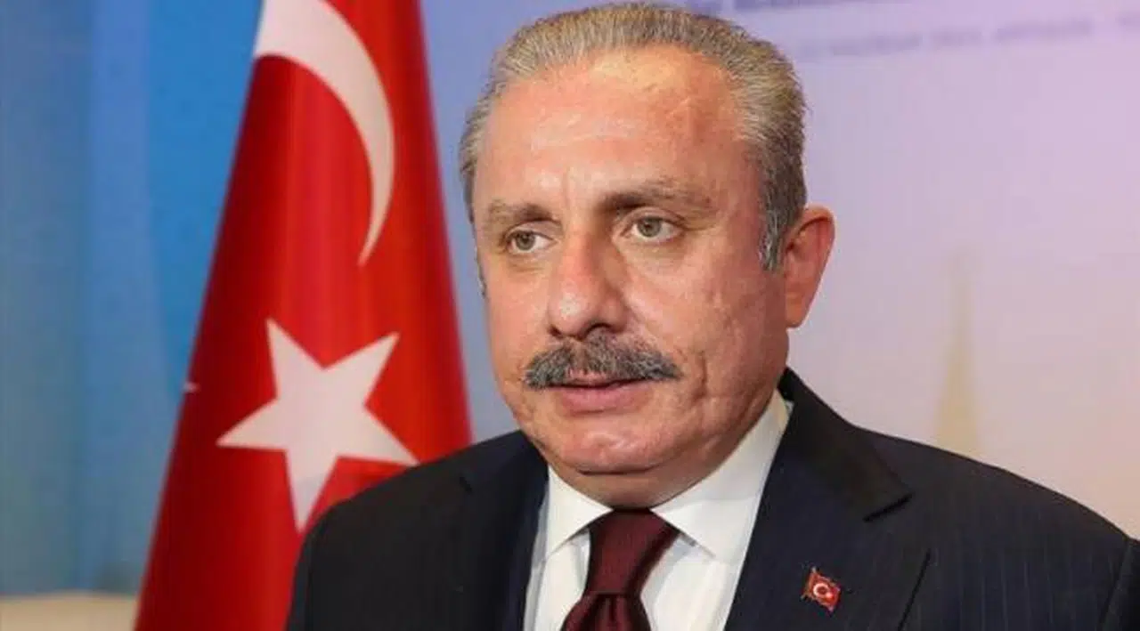 Şentop: Milletvekilleri görüyorum, eylem eylem gezip dokunulmazlığı kullanıyorlar