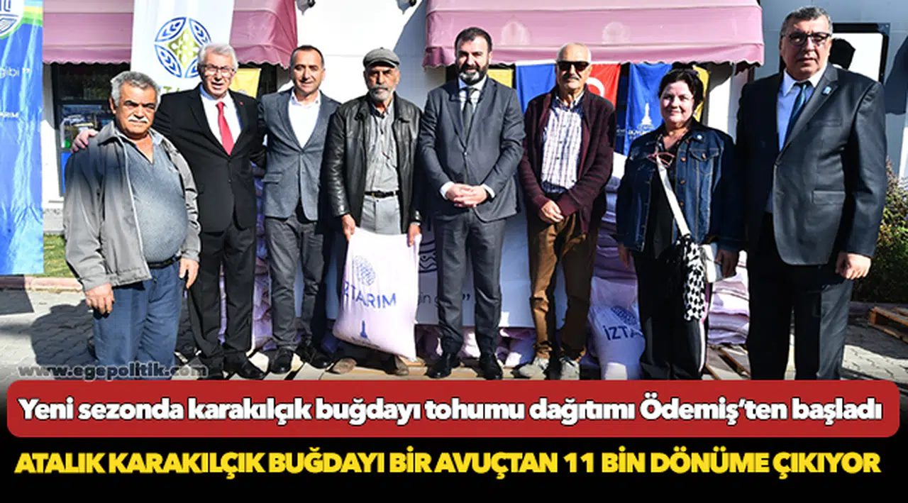 Yeni sezonda karakılçık buğdayı tohumu dağıtımı Ödemiş’ten başladı