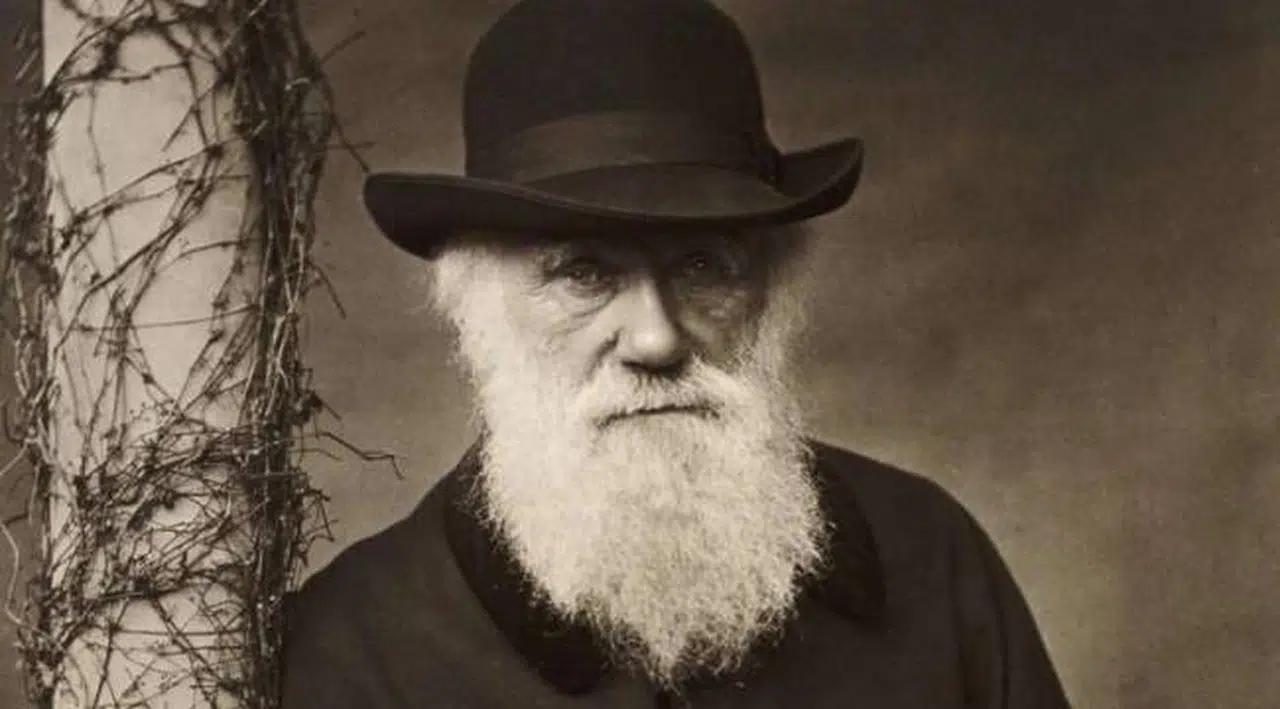 Cambridge Üniversitesi Darwin'in 15 binden fazla mektubunu yayınladı