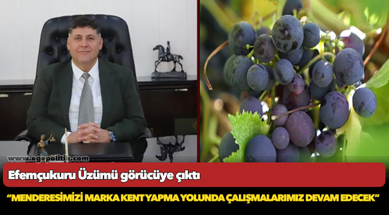 Efemçukuru Üzümü görücüye çıktı