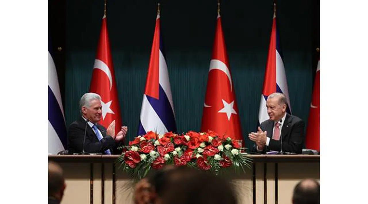 Erdoğan Küba Devlet Başkanı Diaz-Canel'le görüştü