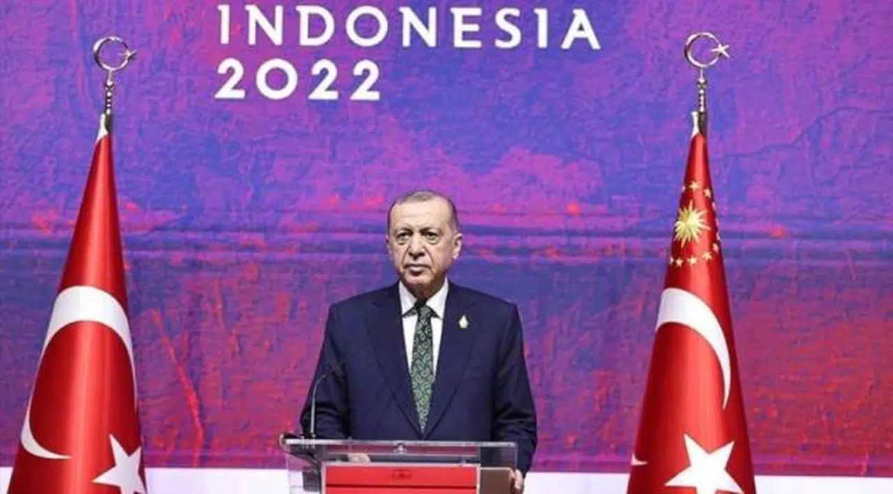 Erdoğan: Rusya'yı dünyadan izole etmenin maliyeti sınırsız olur