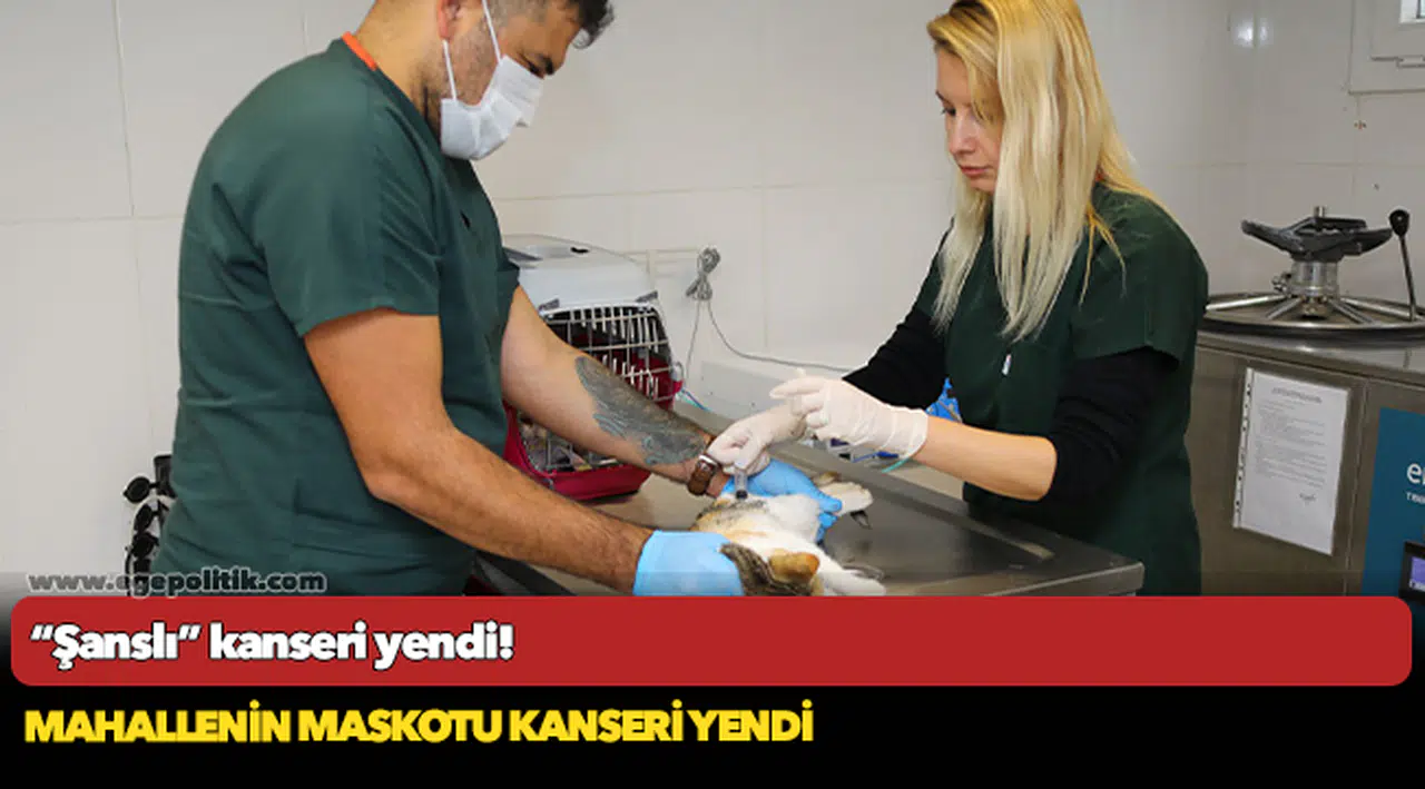 “Şanslı” kanseri yendi!