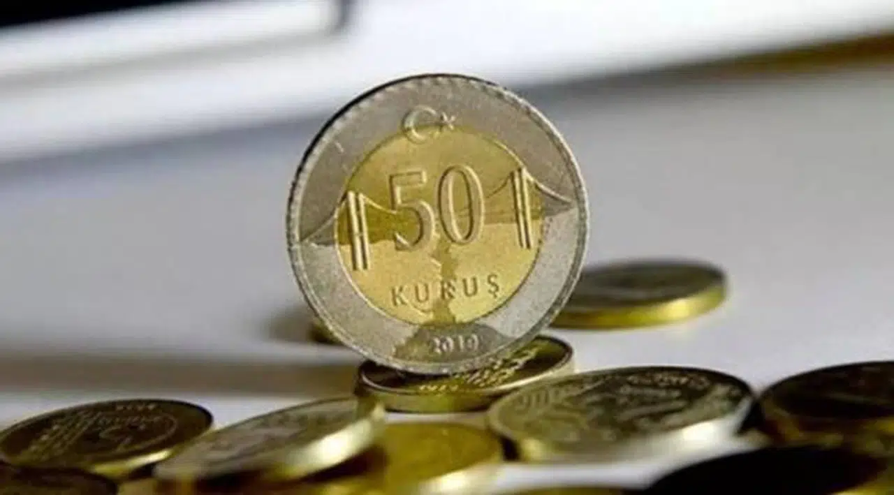 100 TL'nin alım gücü 8,5 TL'ye geriledi