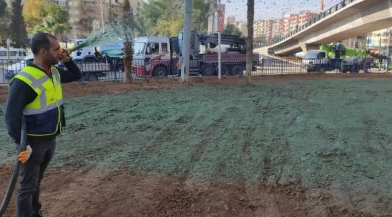 AKP'li belediye Erdoğan'ın ziyareti öncesinde toprak alanları yeşile boyadı