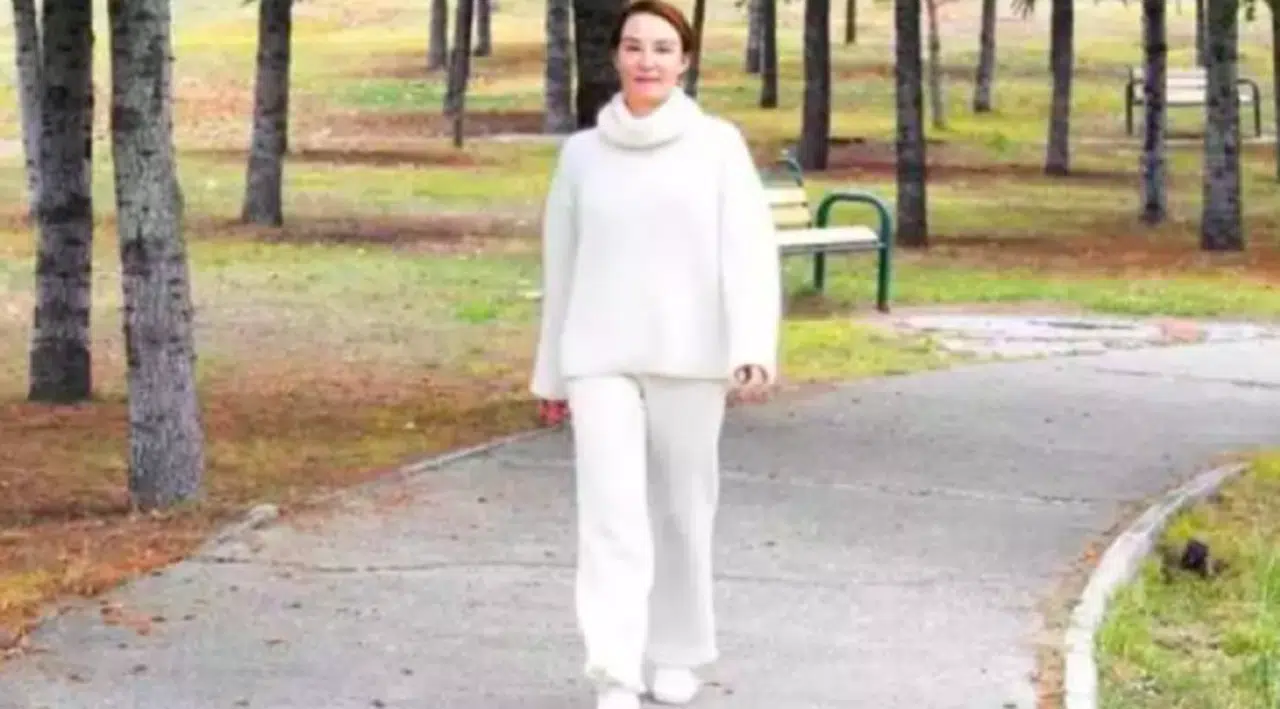 Aslı Baykal'ın başına geçmek istediği partiyi yazdı