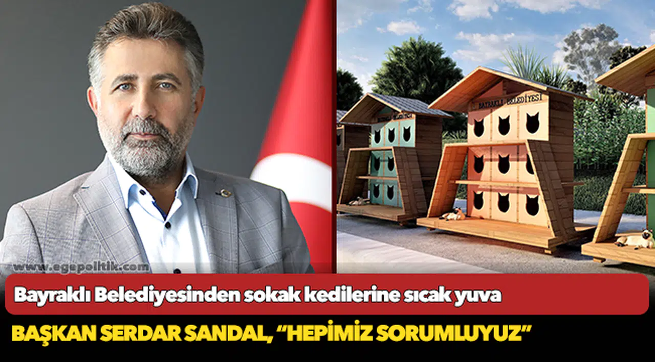 Bayraklı Belediyesinden sokak kedilerine sıcak yuva