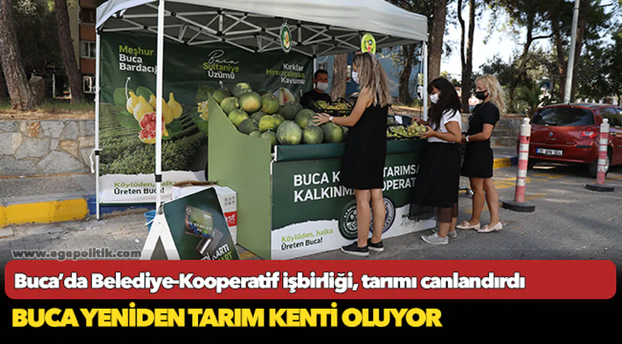 Buca’da Belediye-Kooperatif işbirliği, tarımı canlandırdı