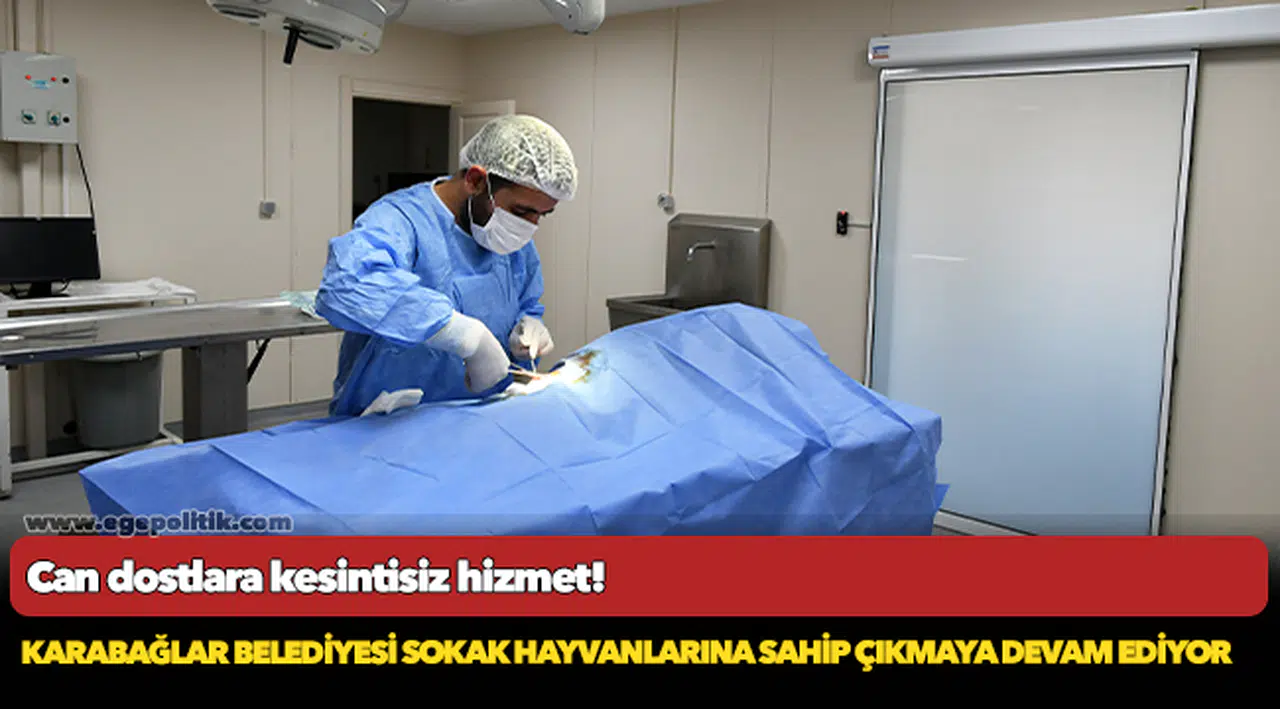 Can dostlara kesintisiz hizmet!