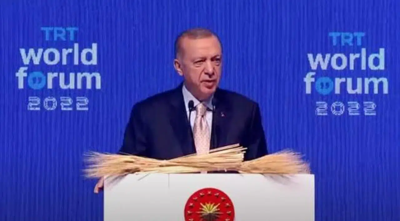 Erdoğan: Putin ve Zelenskiy ile görüşmelerim olacak