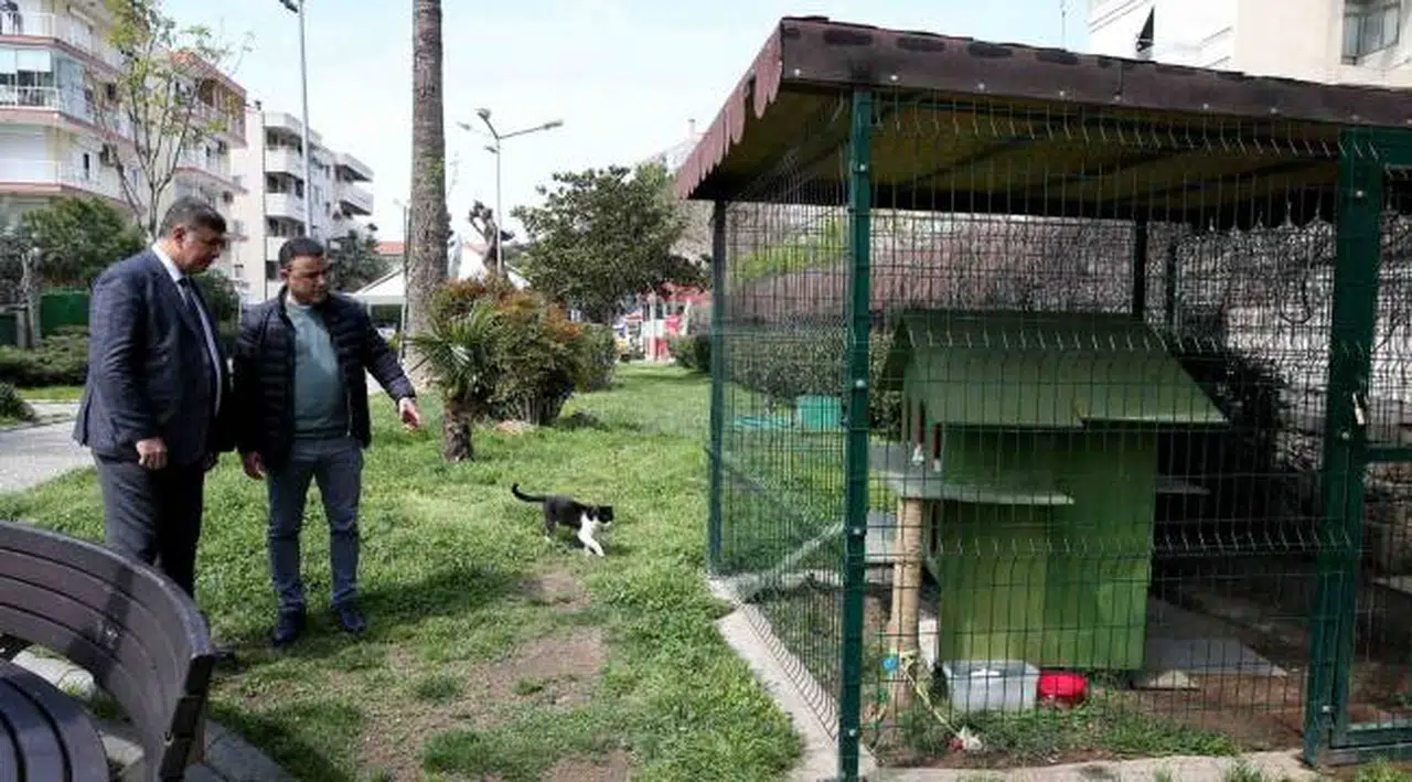 Karşıyaka’da Günde 150 Can Dosta Şifa