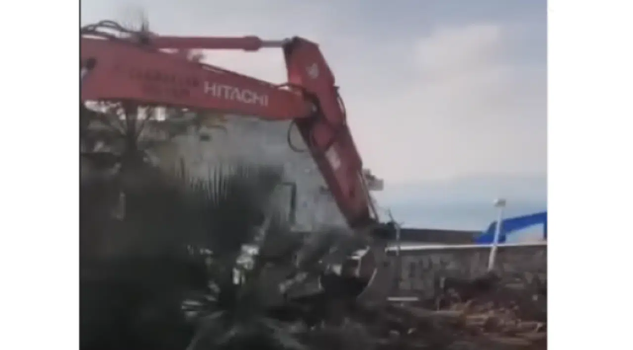 Kayyum Urla Belediyesi'nden 'ağaç kıyımı' iddialarına yanıt geldi