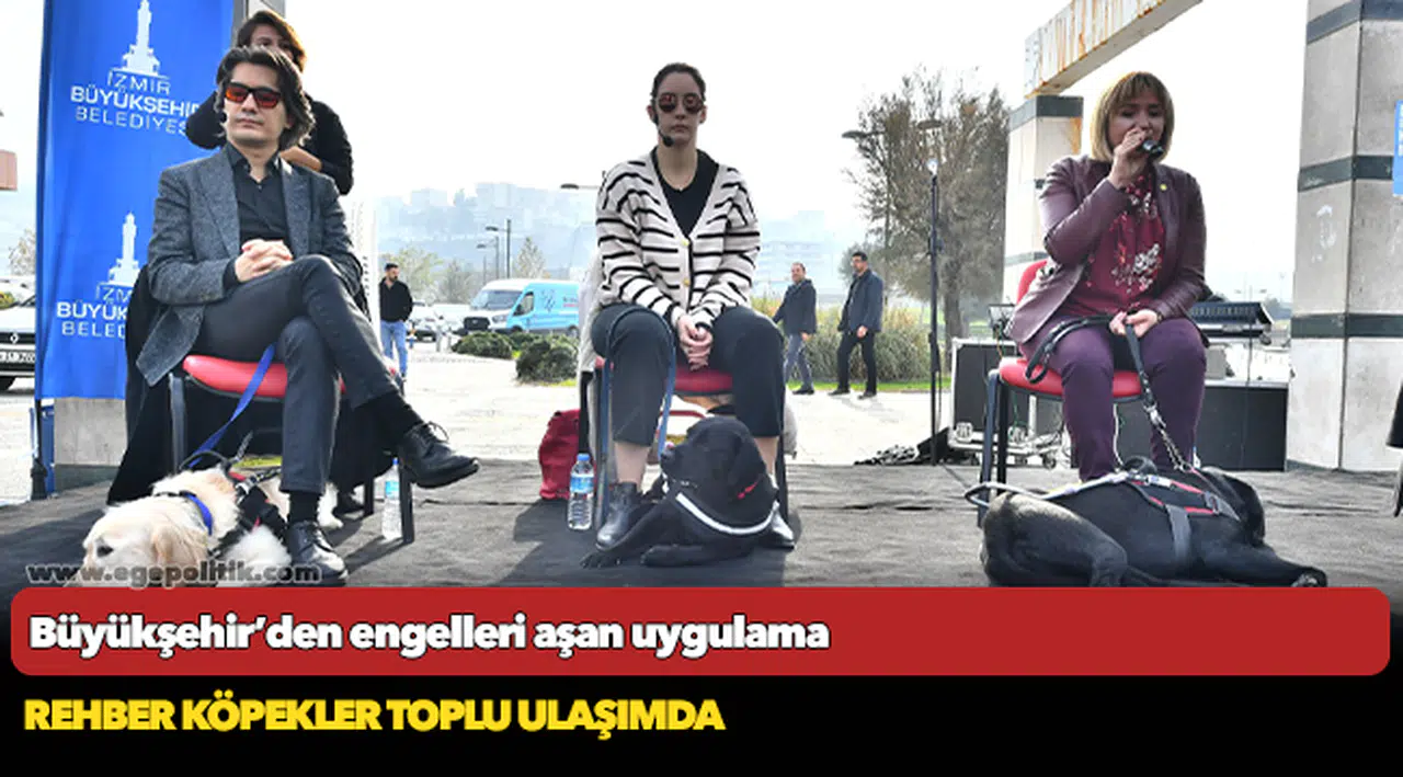 Rehber köpekler toplu ulaşımda