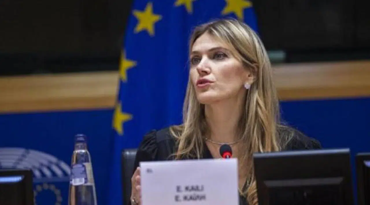 Soruşturma altındaki AP Başkan Yardımcısı'nın evinde çantalarca para bulundu
