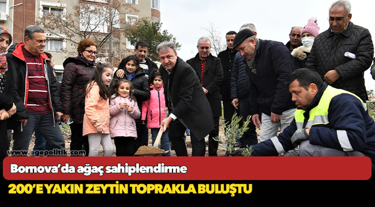Bornova’da ağaç sahiplendirme