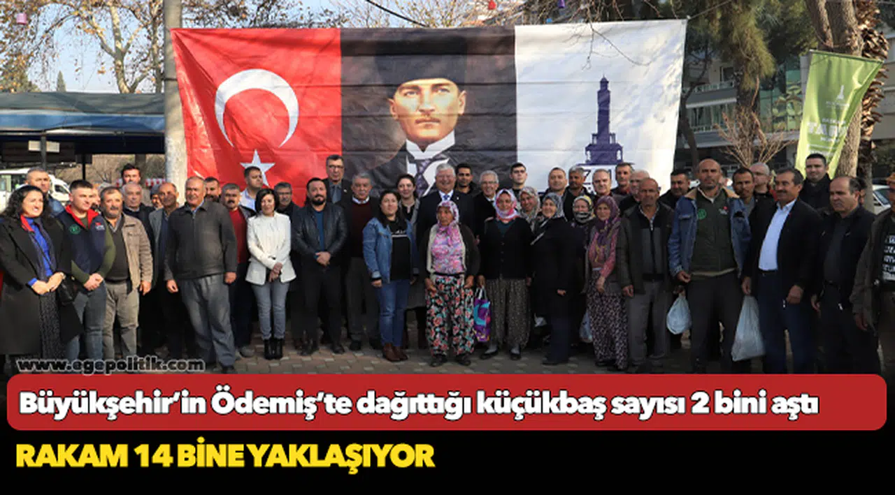 Büyükşehir’in Ödemiş’te dağıttığı küçükbaş sayısı 2 bini aştı