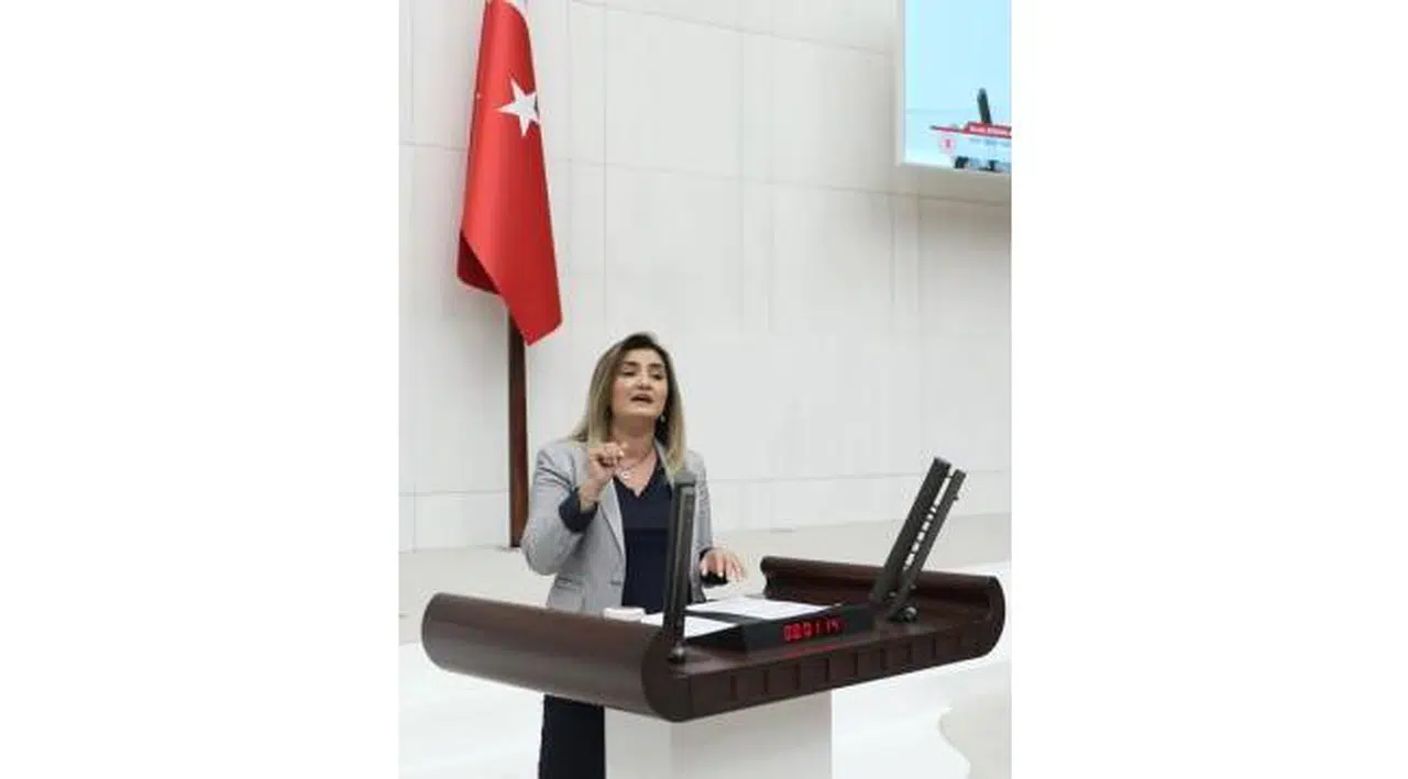 CHP İzmir Milletvekili Av. Sevda Erdan Kılıç: “Elektrik, doğalgaz ve kömür fiyatlarındaki artışın getirdiği yükü emekçilerin sırtından almalıyız!”
