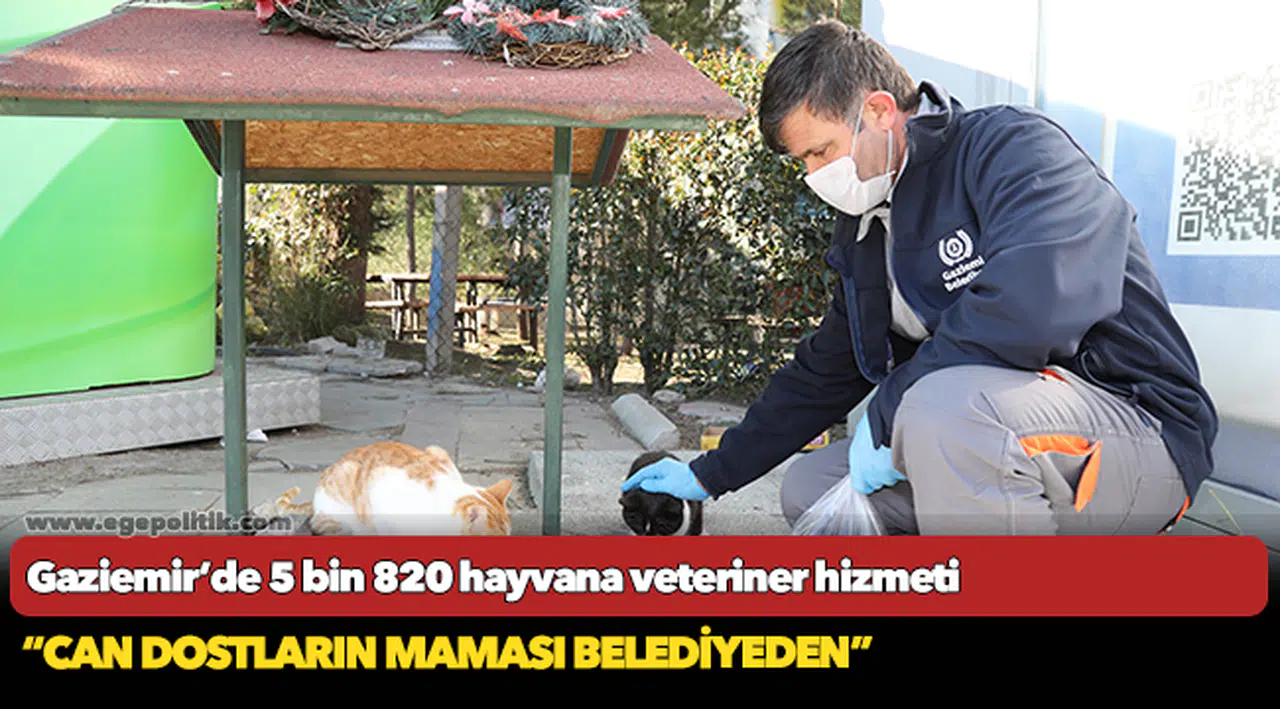 Gaziemir’de 5 bin 820 hayvana veteriner hizmeti