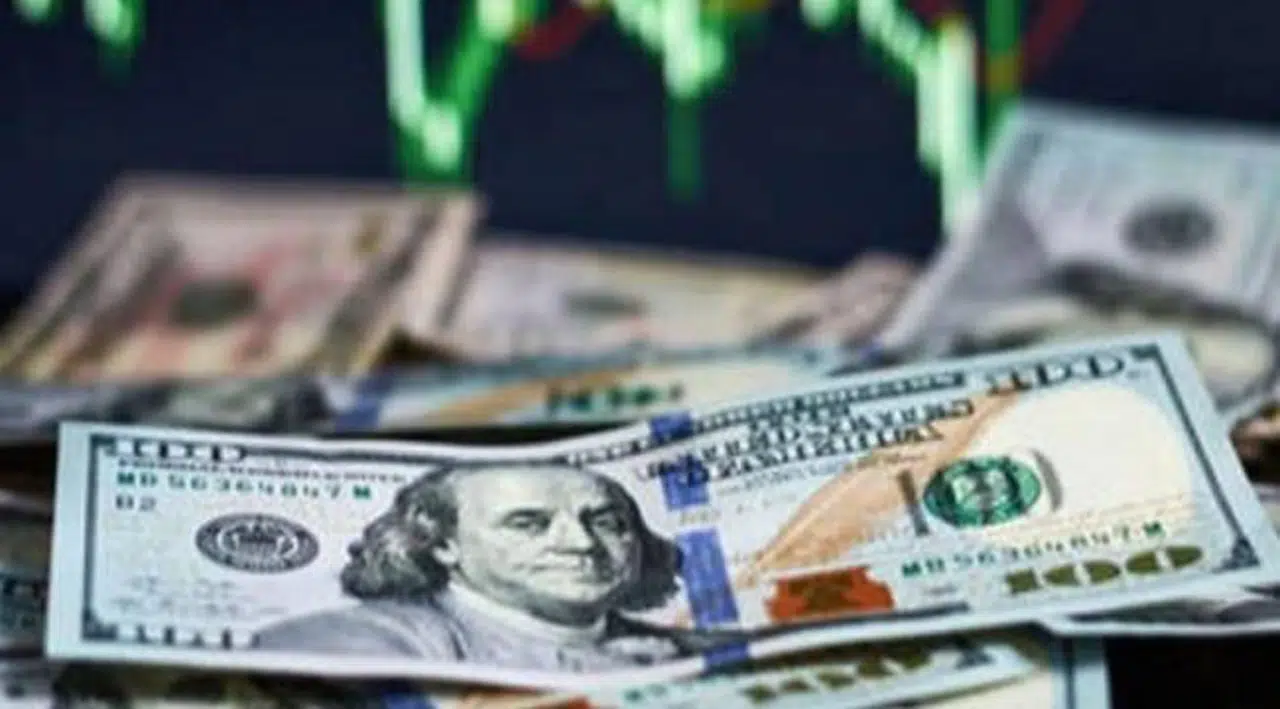 Merkez Bankası anketi: Dolar kuru beklentisi yükseldi