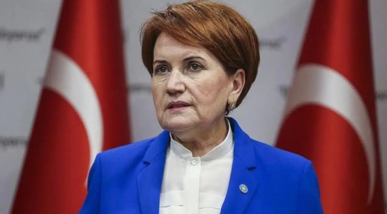 Avrasya Araştırma Başkanı: Meral Hanım istifa eder, İYİ Parti de MHP çatısında birleşir