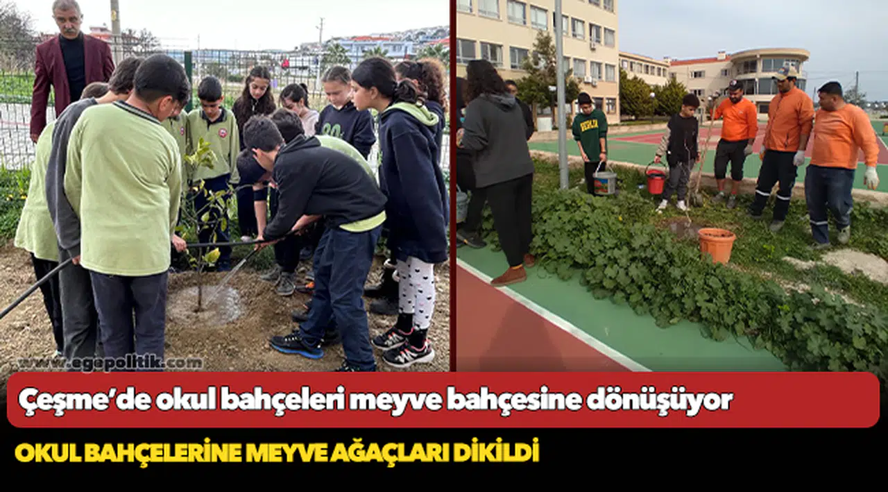 Çeşme’de okul bahçeleri meyve bahçesine dönüşüyor
