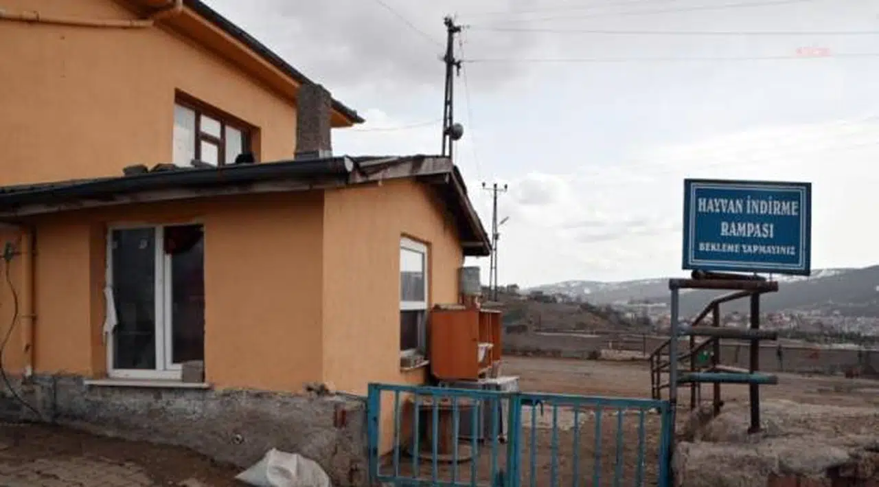 Çevre illerde görülen hastalık belirtileri: Yozgat’ta canlı hayvan pazarları kapatıldı