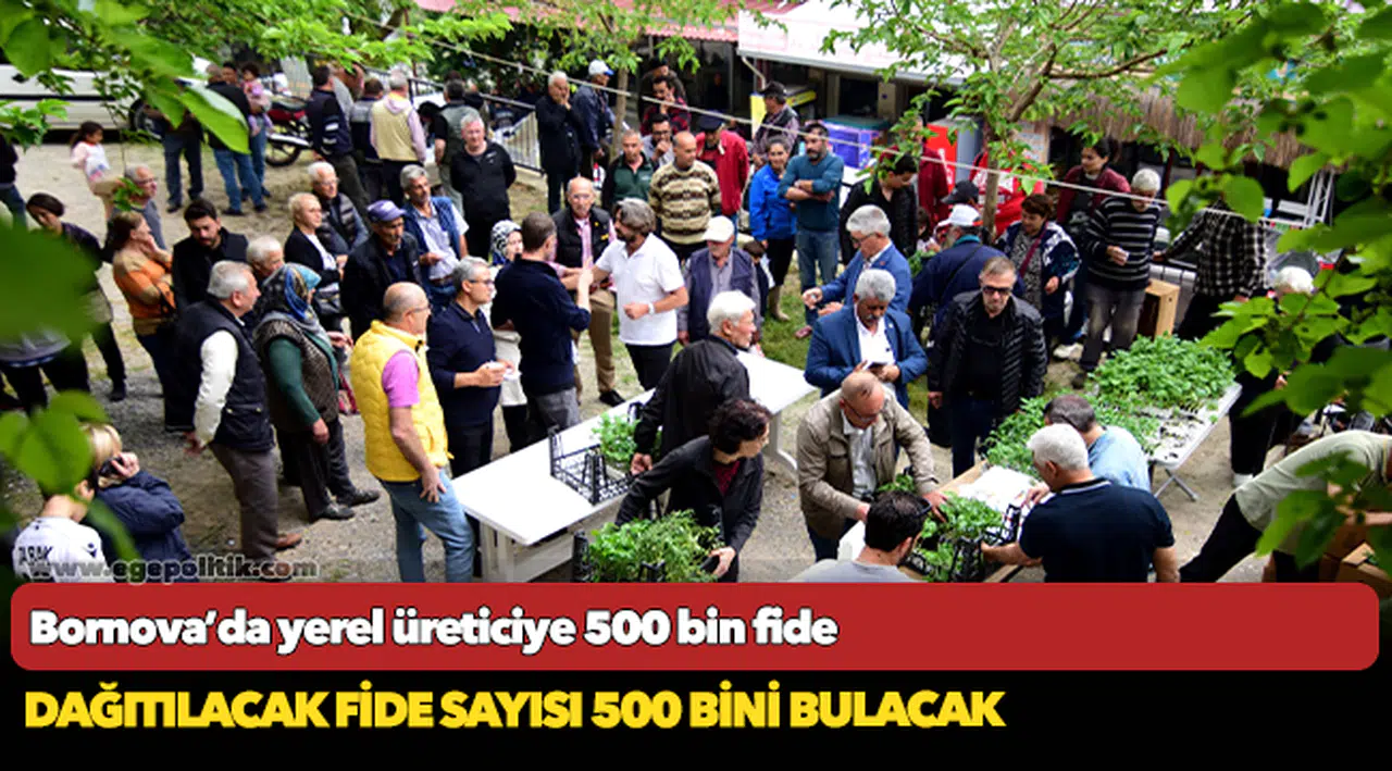 Bornova’da yerel üreticiye 500 bin fide