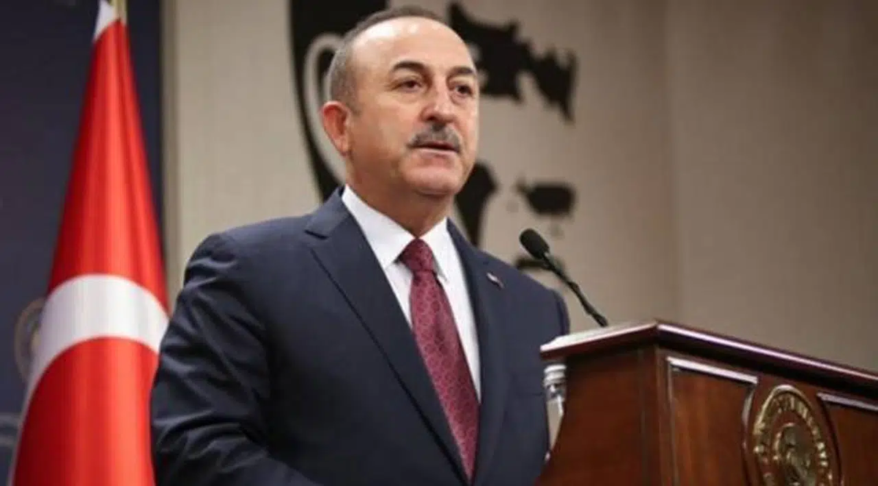 Çavuşoğlu: 'Erdoğan gitsin' diyenlerin pabucunu kaç seçimdir dama atıyoruz