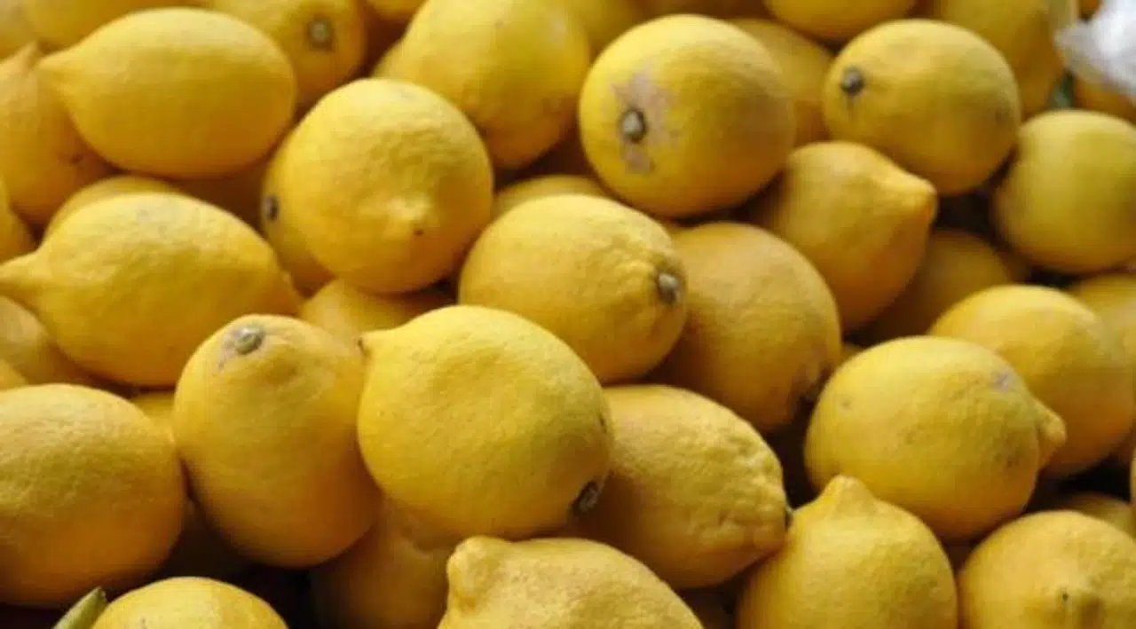 Limon soslarının satışı yasaklandı