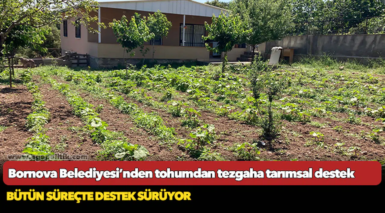 Bornova Belediyesi’nden tohumdan tezgaha tarımsal destek