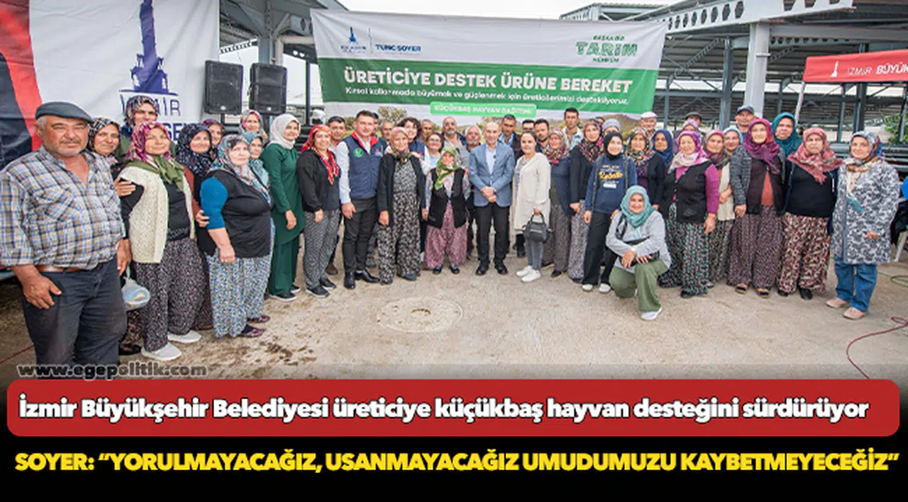 İzmir Büyükşehir Belediyesi üreticiye küçükbaş hayvan desteğini sürdürüyor