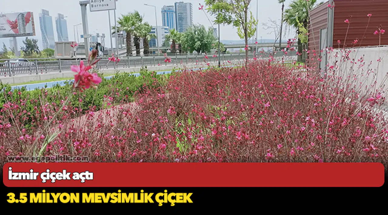 İzmir çiçek açtı