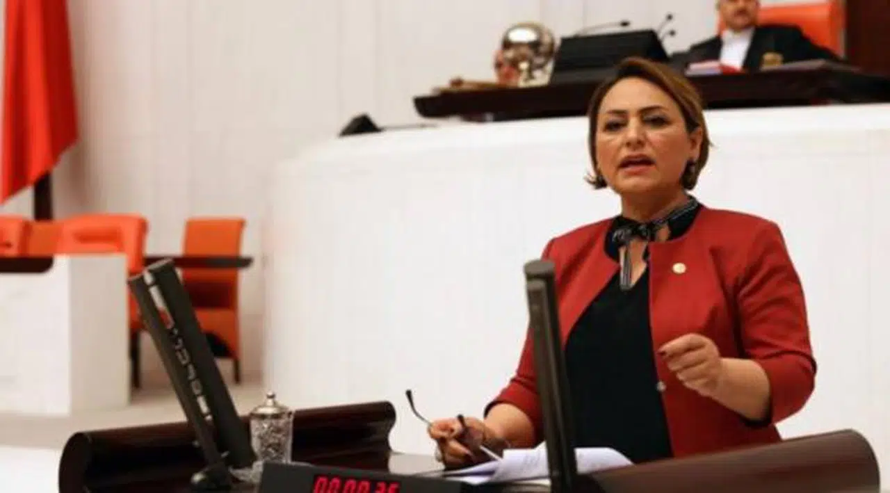 MHP'nin '19 yeni il' açıklamasına CHP'li Şevkin'den tepki: Hiç samimi değil