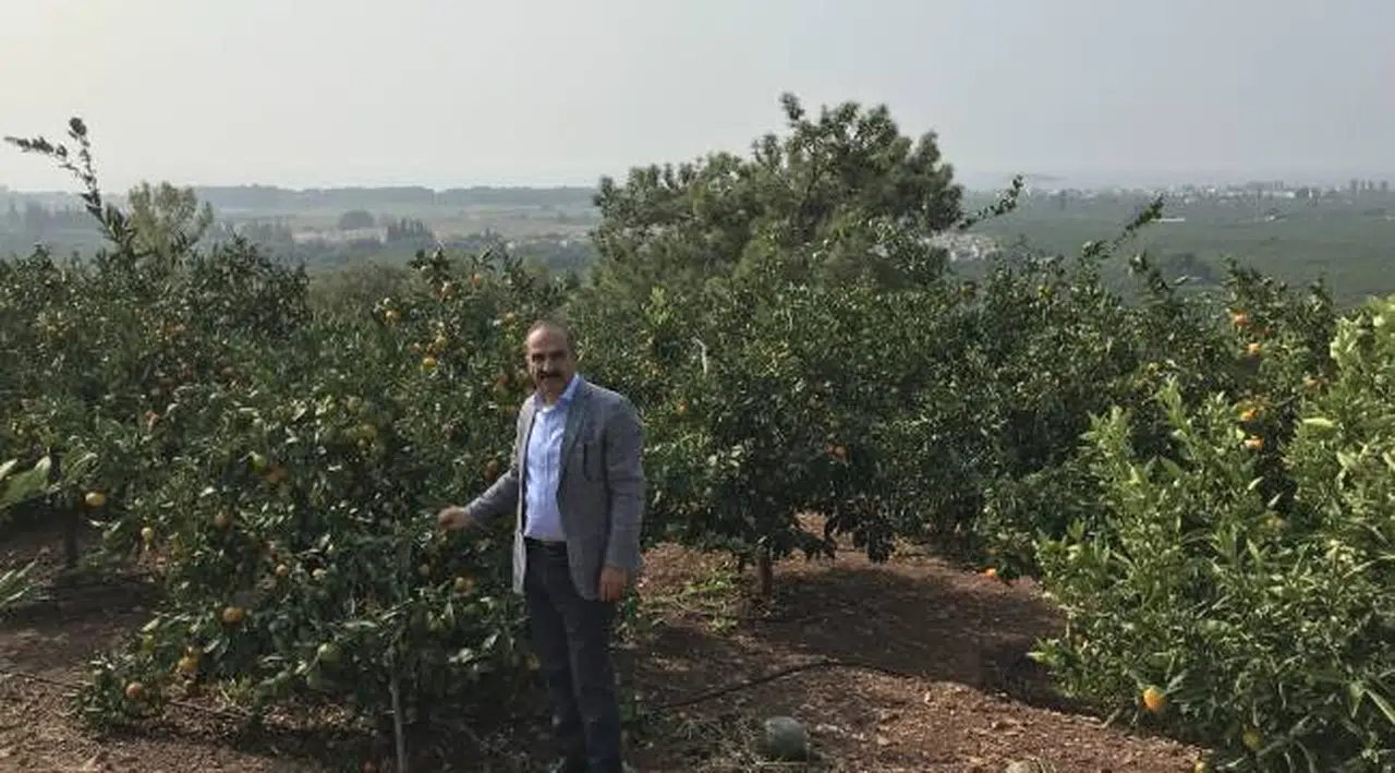 2023/24 sezonunda narenciye rekoltesinde rekor artış