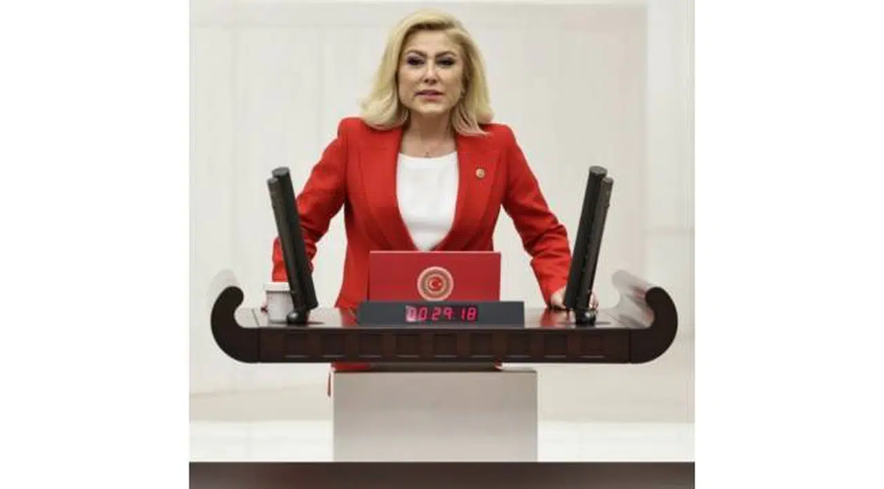 Bursalı, "İzmirli'yle dalga mı geçiyorsun Soyer"
