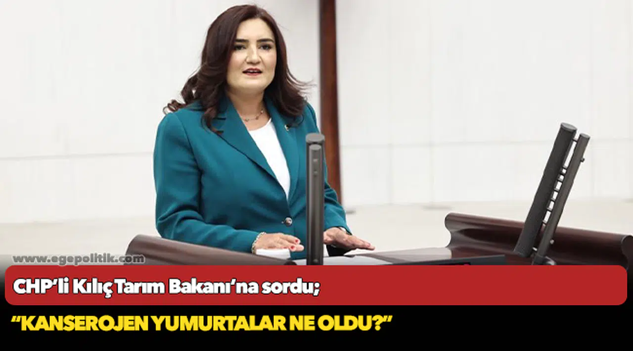 CHP’li Kılıç Tarım Bakanı’na sordu; "Kanserojen yumurtalar ne oldu?"
