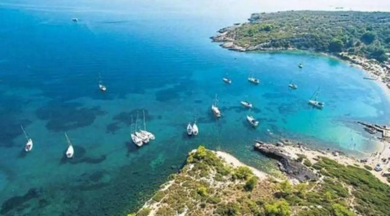İzmir Demirci Koyu'nda talan projesine izin çıkmadı