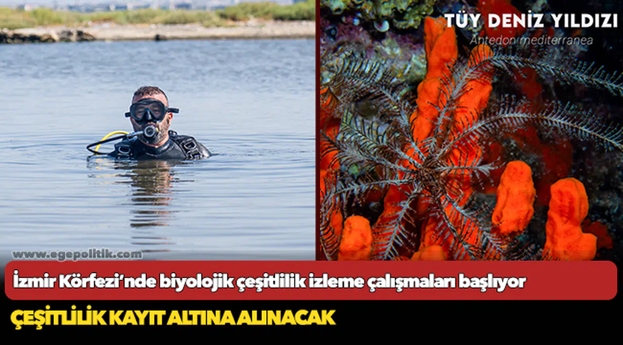 İzmir Körfezi’nde biyolojik çeşitlilik izleme çalışmaları başlıyor