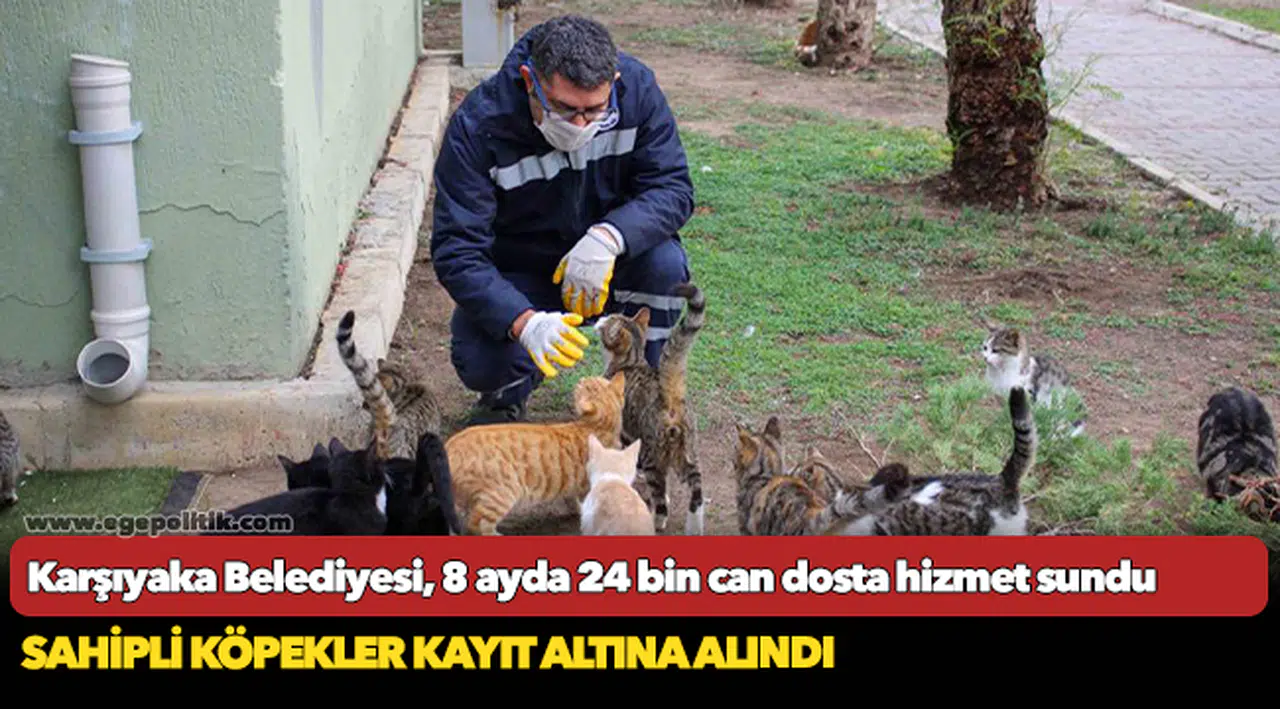 Karşıyaka Belediyesi, 8 ayda 24 bin can dosta hizmet sundu