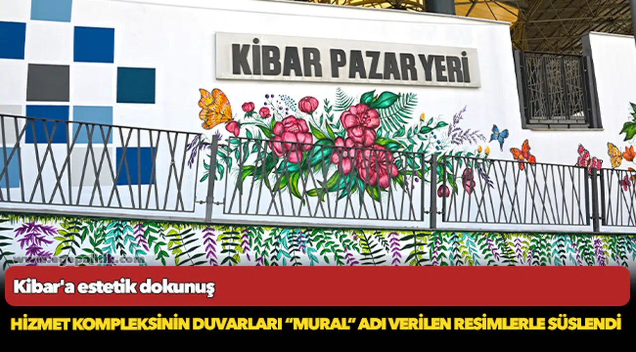 Kibar'a estetik dokunuş