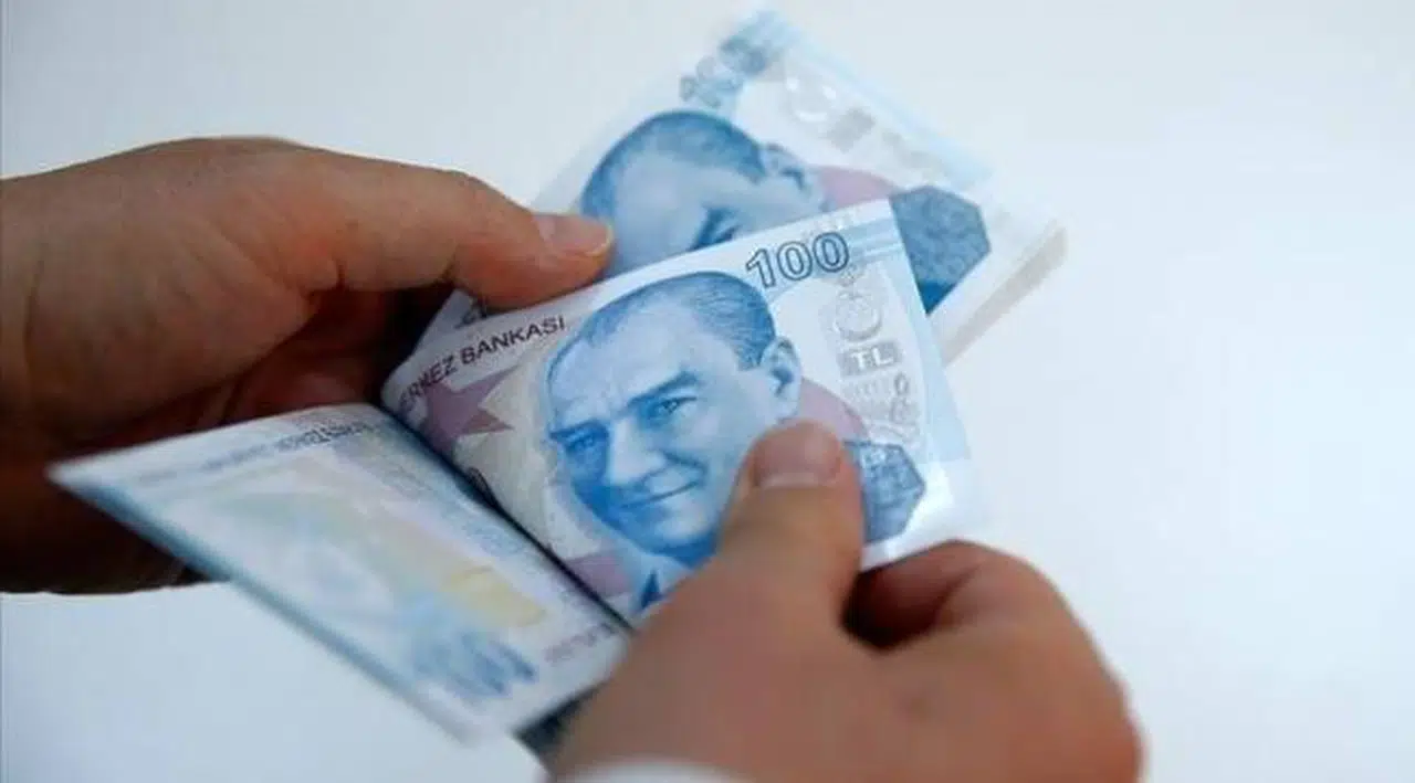 Yurttaşlara kesilen cezalar Temmuz'da rekor kırdı