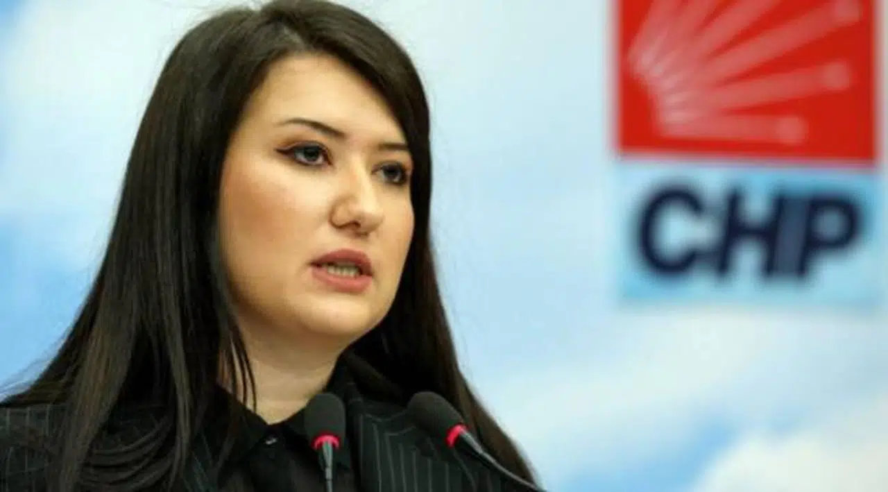 CHP’de bir 'Perinaz Mahpeyker' tepkisi daha: İlk gün de karşıydım bugün de karşıyım