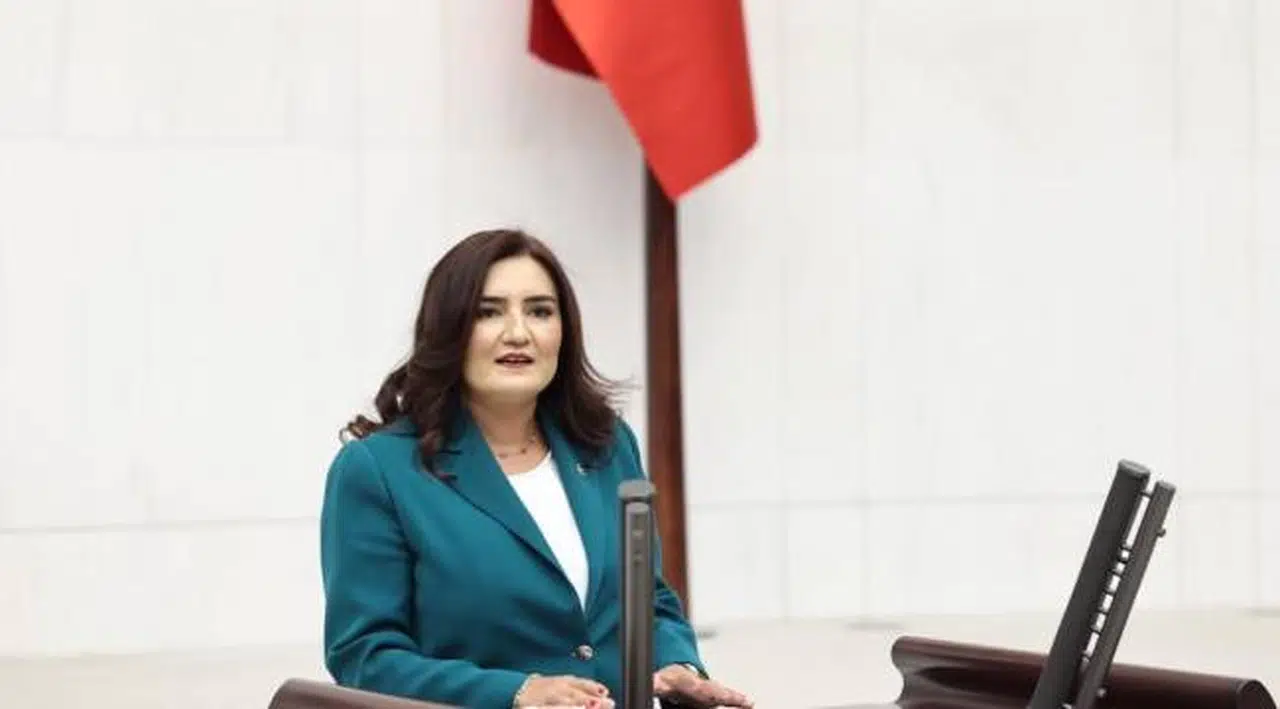 CHP İzmir Milletvekili Sevda Erdan Kılıç:  Vaad Kopya; Sonuç Fiyasko