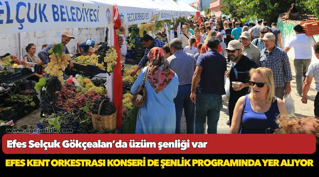 Efes Selçuk Gökçealan’da üzüm şenliği var