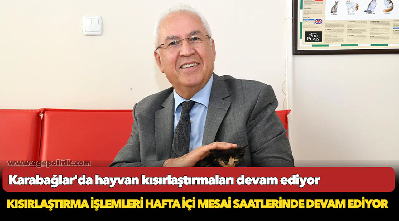 Karabağlar Üçyol Hayvan Sağlığı Merkezi kısırlaştırmalara devam ediyor